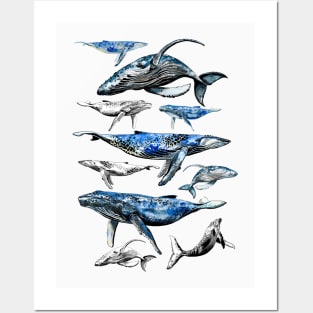 whales Posters and Art